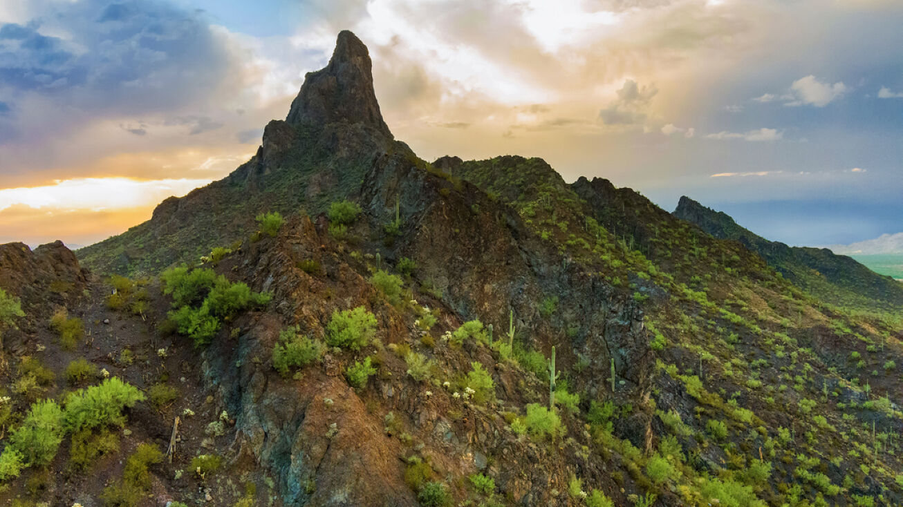 16465 E Peak Ln, Picacho, AZ 85141