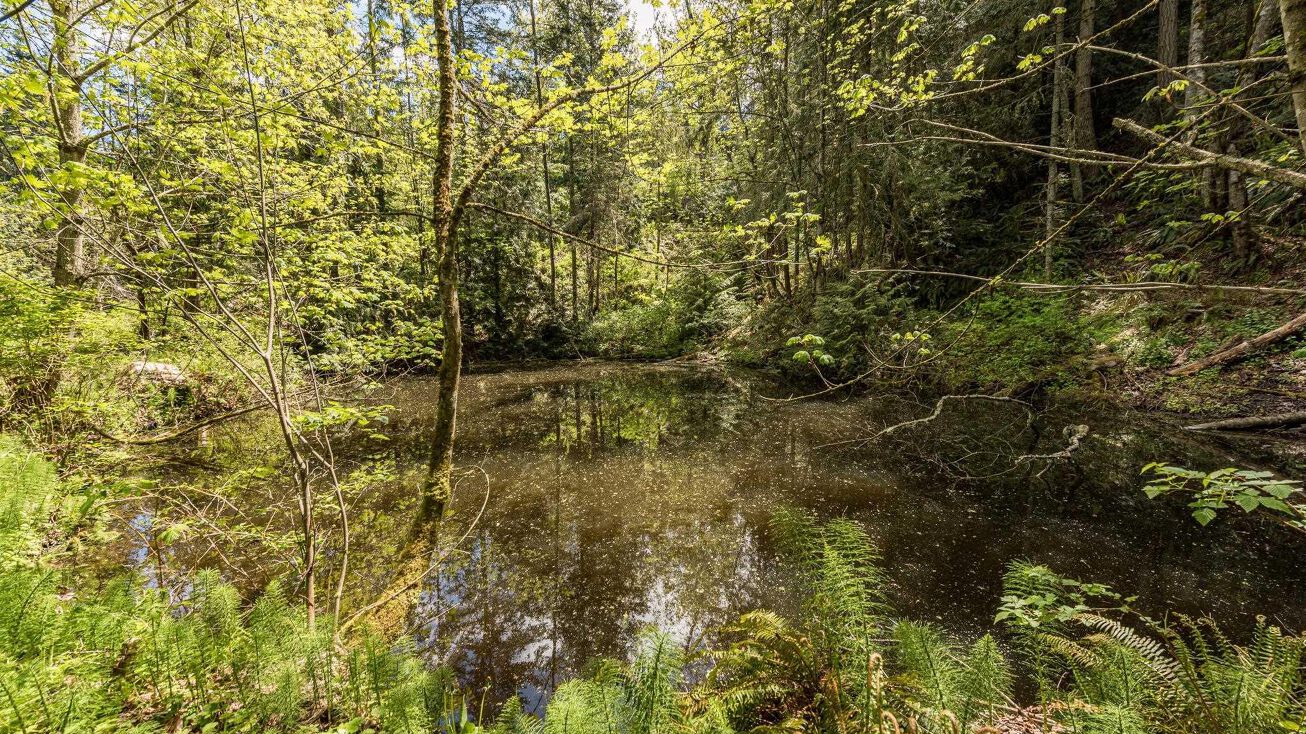 9999 Wadsworth, Sequim, WA 98382 Land for Sale 9999 Wadsworth