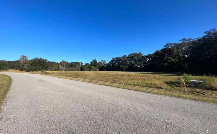 Pictures of Land property located at 12300 Research Dr, Alachua, FL 32615 for sales - image #1