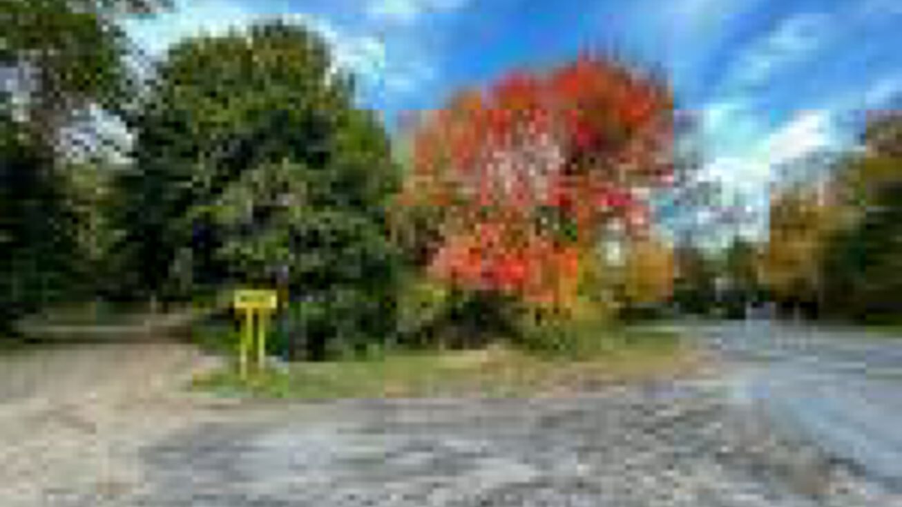 0 County Rte 24, NY 13115 Land for Sale 0 Co Rt 24