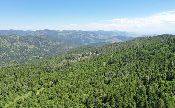 Pictures of Land property located at 15 Tract, Drummond, MT 59832 for sales - image #1