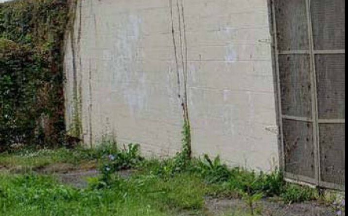 Pictures of Industrial property located at 2318 Vine St, Baltimore, MD 21223, 2320-2322 Vine St, Baltimore, MD 21223, 111 Wheeler Ave, Baltimore, MD 21223, 110 N Bentalou St, Baltimore, MD 21223, 100 Gorman Ave, Baltimore, MD 21223 for sales - image #1