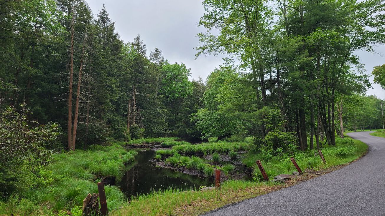 384 Dingle Daisy Rd, Monticello, NY 12701