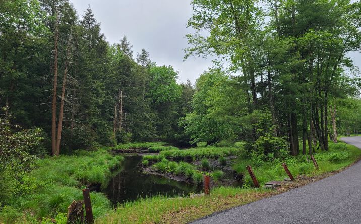 Pictures of Land property located at 384 Dingle Daisy Rd, Monticello, NY 12701 for sales - image #1