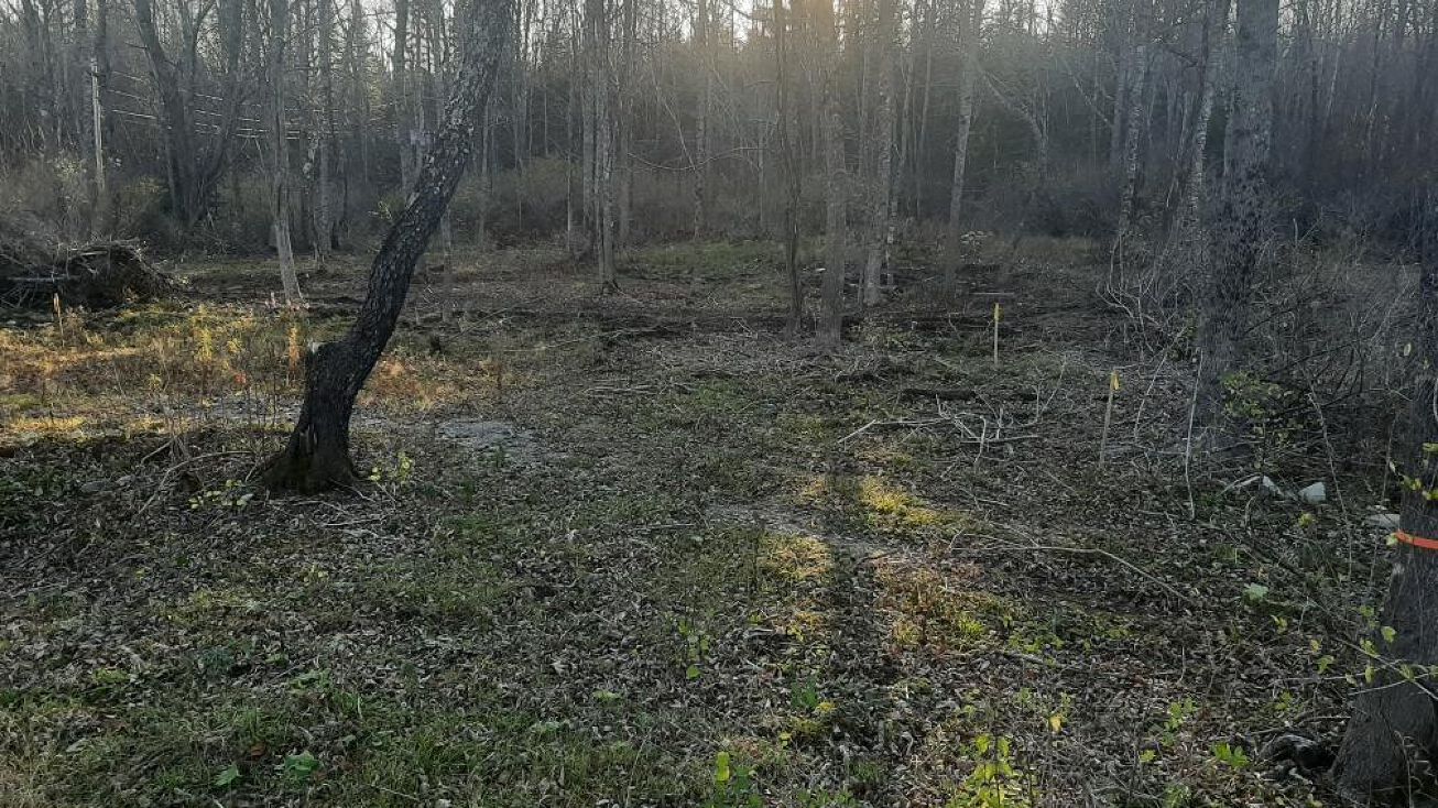 14 Blueberry Hill Rd, Winterport, ME 04496