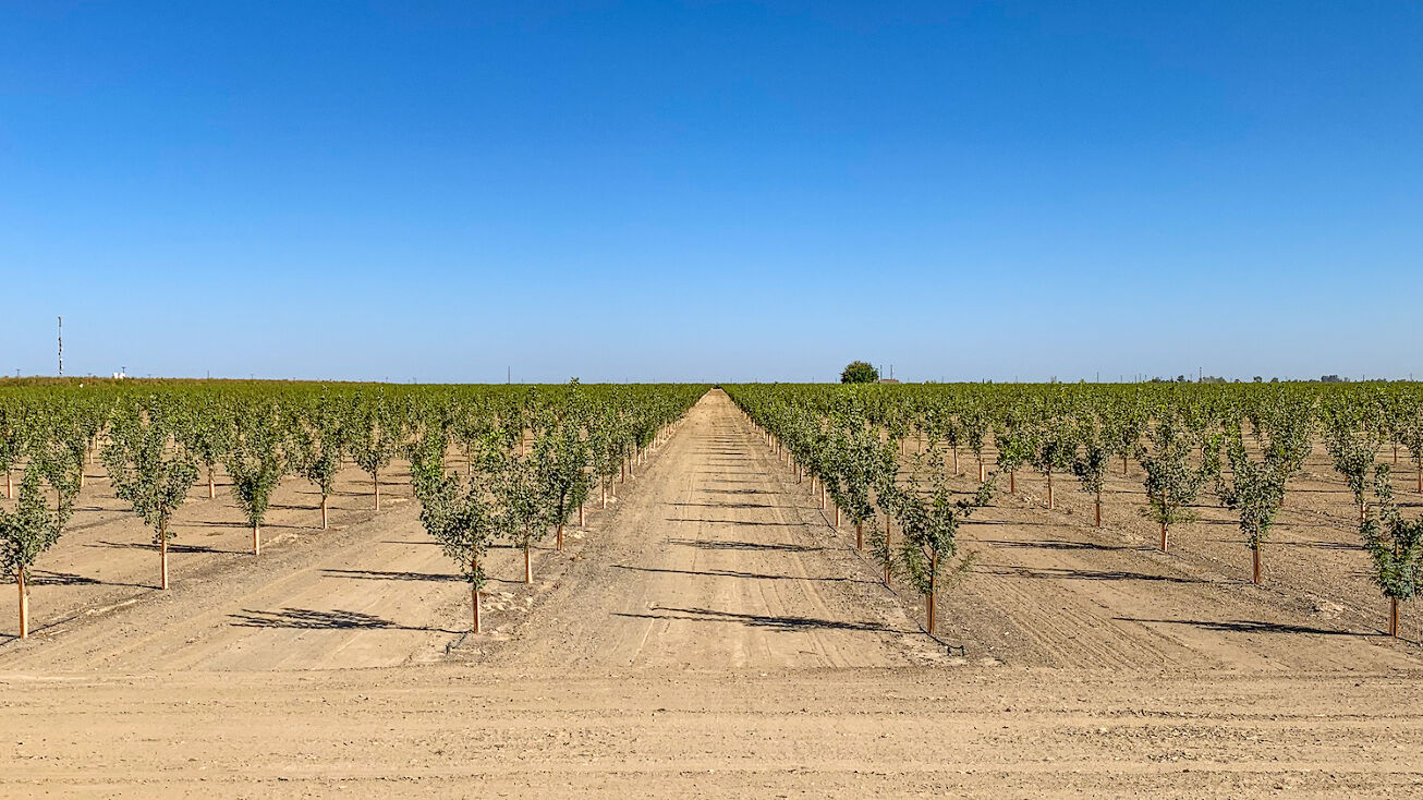 W Lerdo Hwy, Buttonwillow, CA 93206