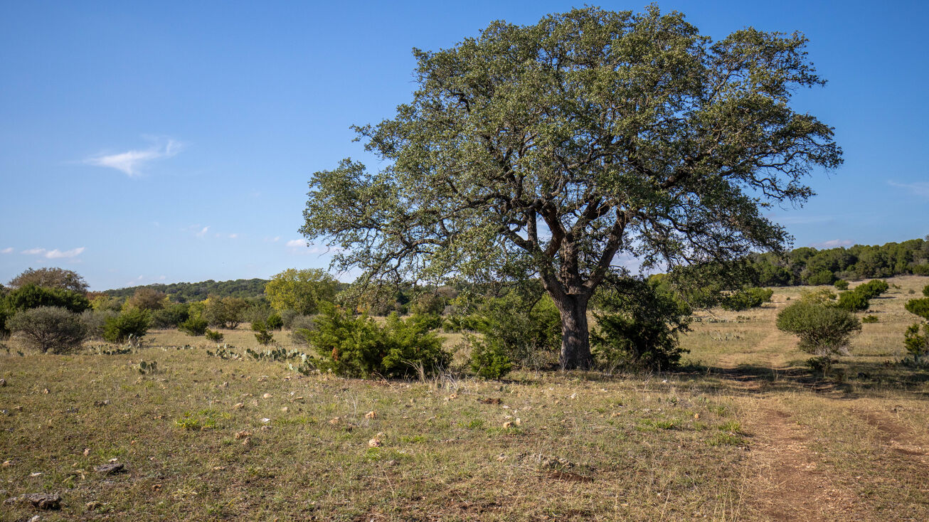 14942 Cedar Valley Rd, Salado, TX 76571