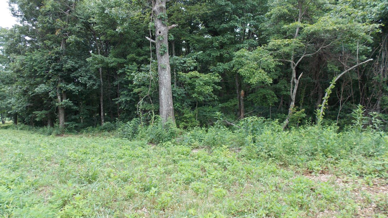 Belcher Mountain Rd SW, MEADOWS DAN, VA 24120