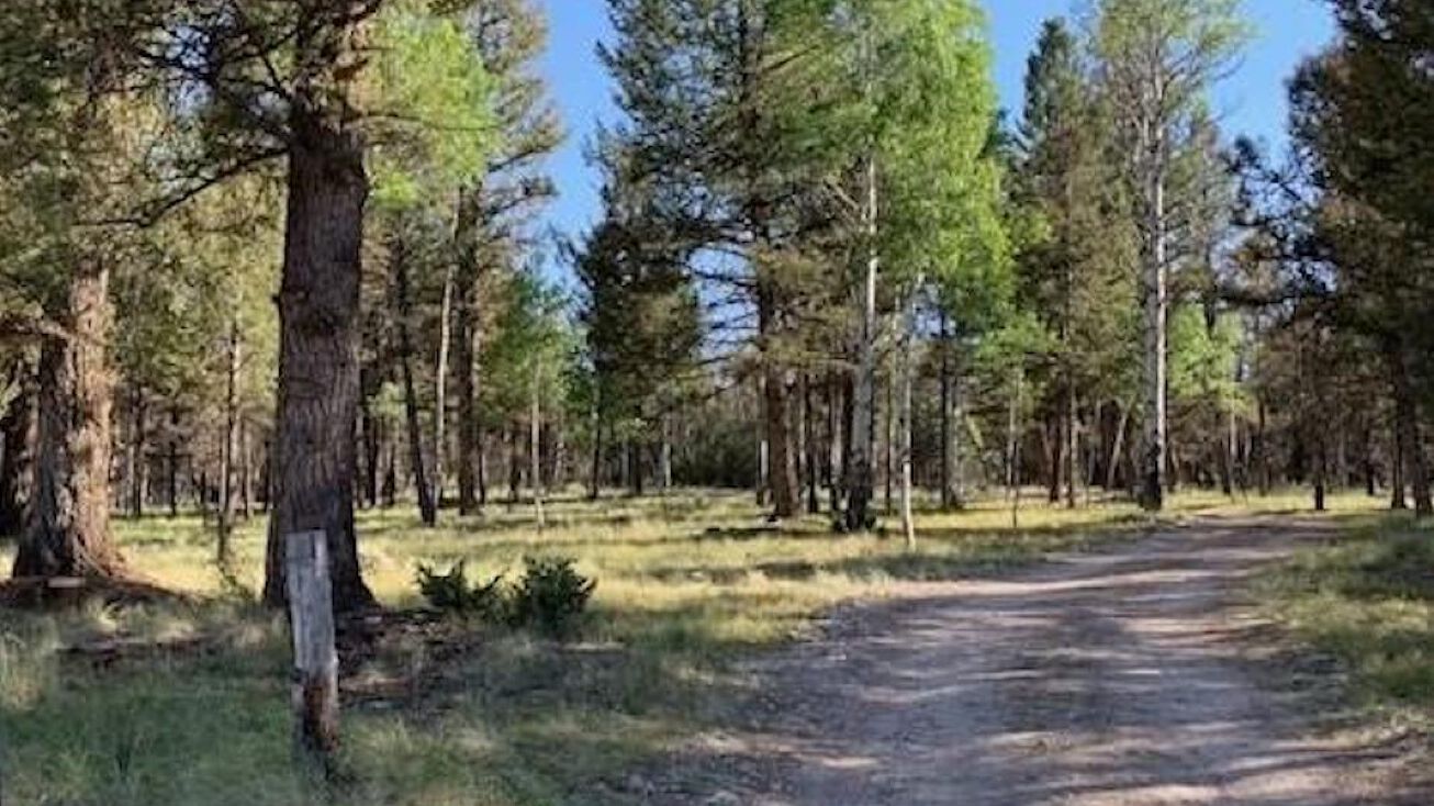 514 Monarch Rd, Powderhorn, CO 81243 Land for Sale 514 Monarch Road