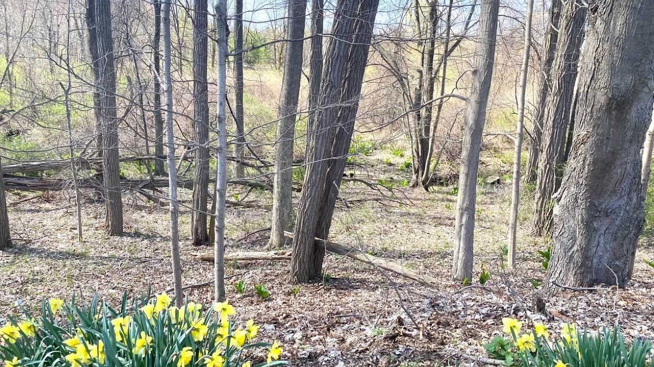 461 Maple Rd, Brewster, NY 10509