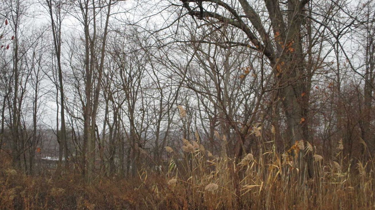 Lot 9 Huyler, Hyde Park, NY 12538 Land for Sale Lot 9 Huyler