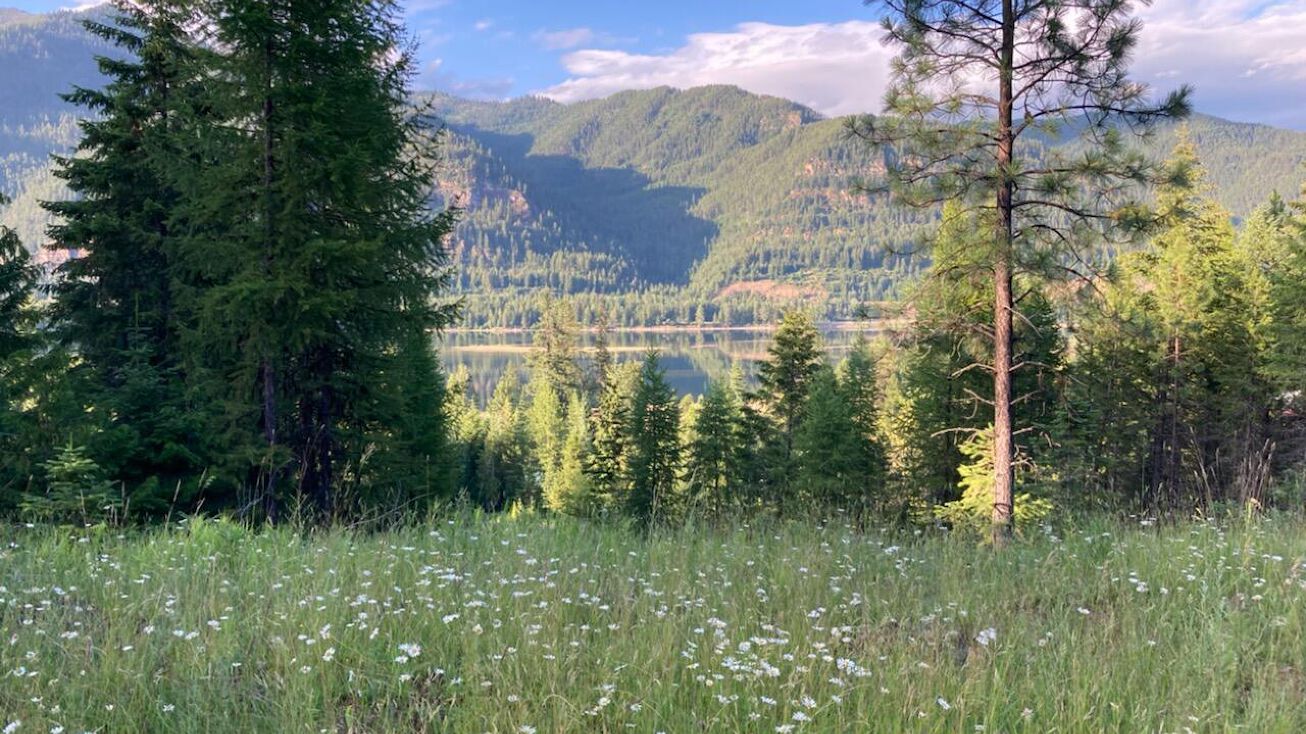 27 Country Road, Noxon, MT 59853