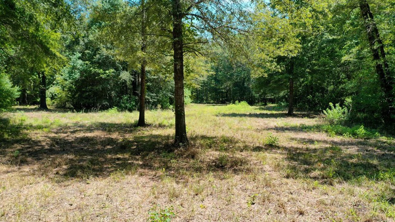 4700 Penn Rd, Montgomery, AL 36116 Land for Sale Hunting Land in Montgomery County