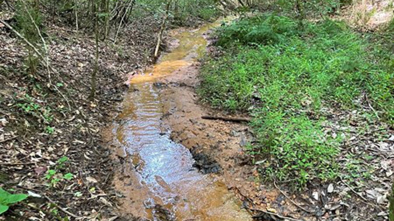 0 Opp Hwy, Brantley, AL 36009