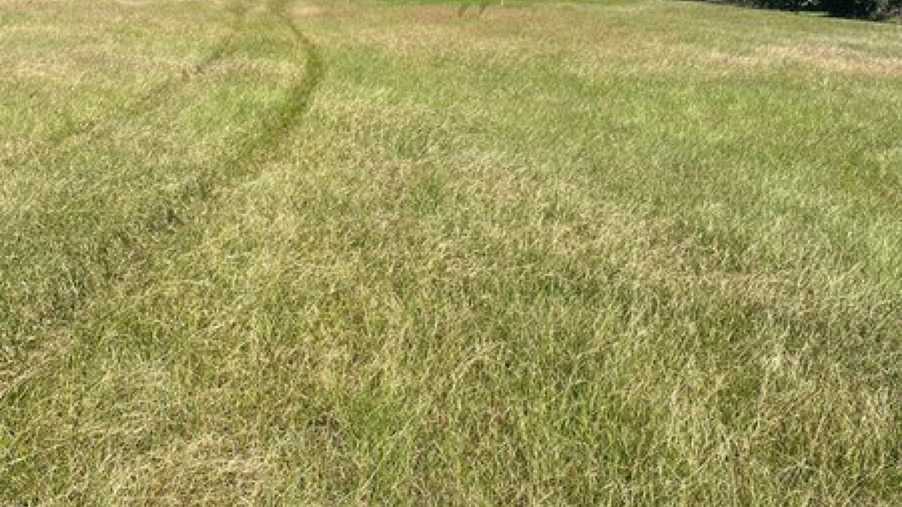 0 Hawkins Ave, Luverne, AL 36049 Land for Sale Road Frontagehawkins