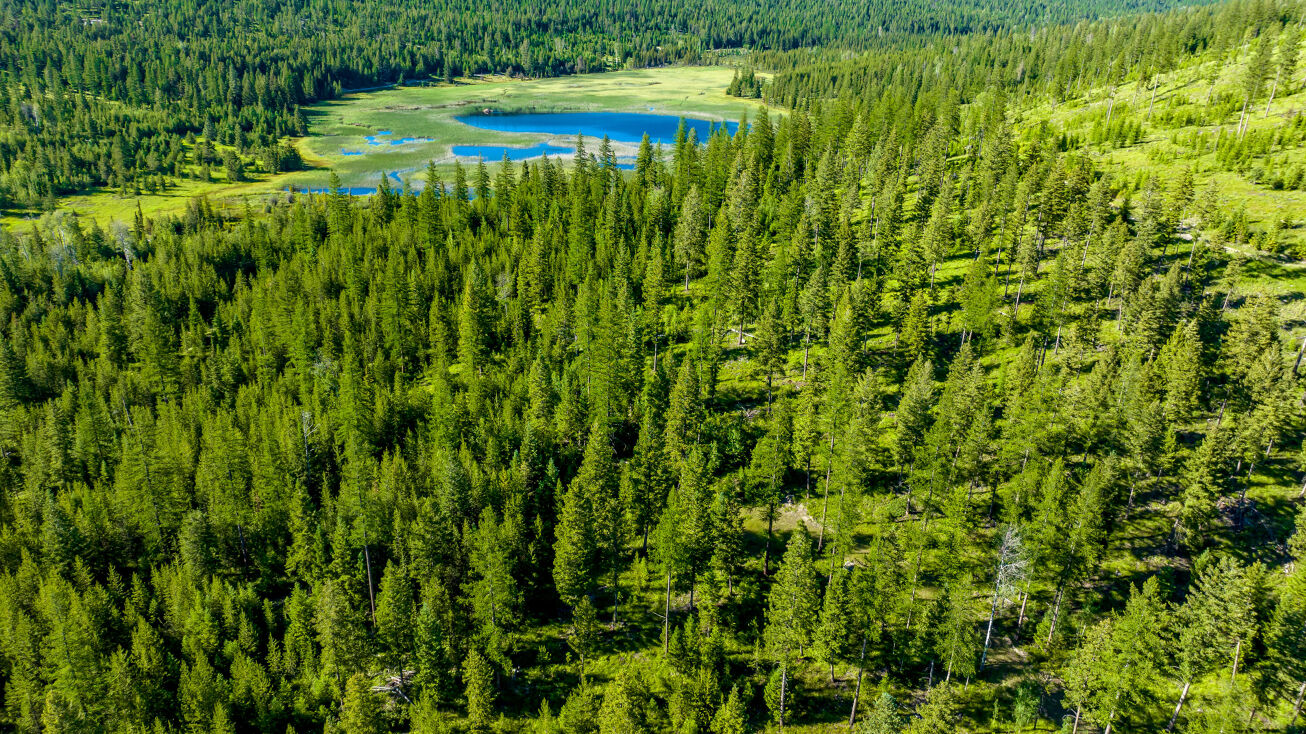 133 Hodge Lk Trail, Kila, MT 59920