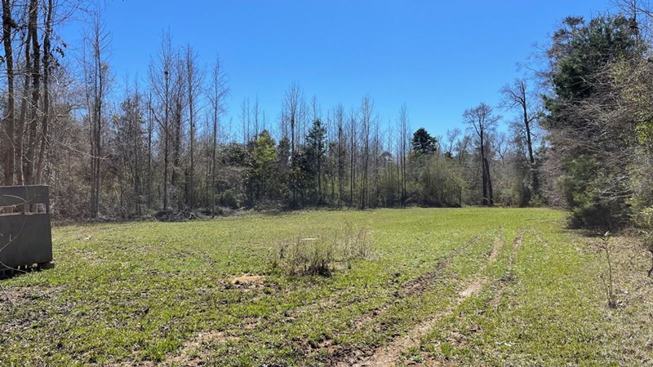 0 Gordon Road, Dozier, AL 36028