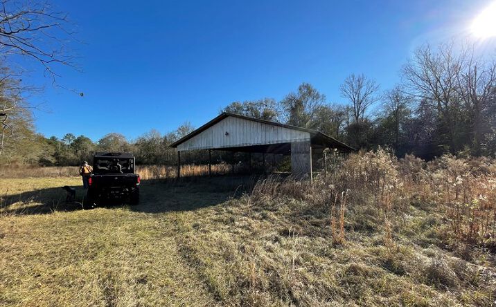 0 H.J. Jacobs RD, Glenwood, AL 36034 | Crexi.com