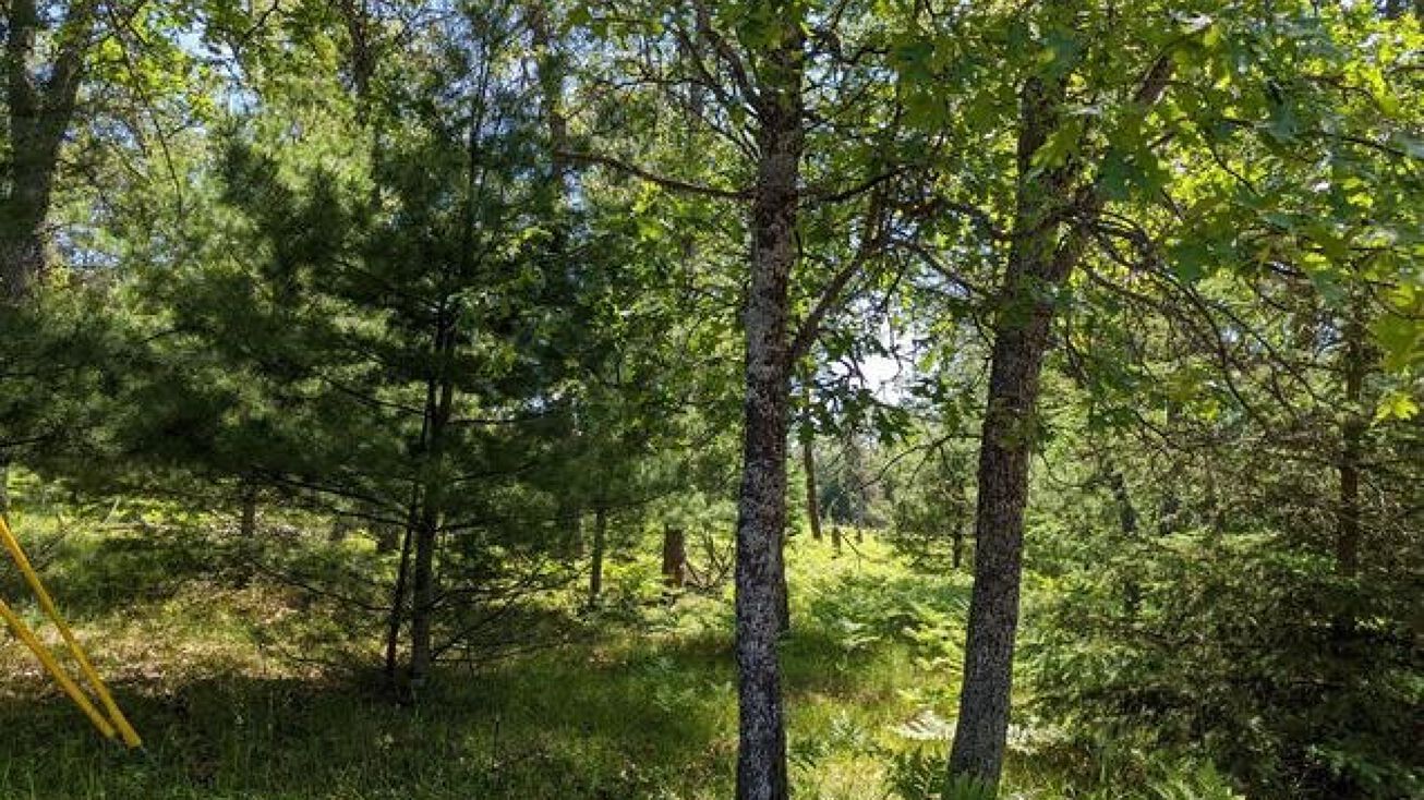 940 & 941 Virginia Park Canada Creek Ranch, Atlanta, MI 49709