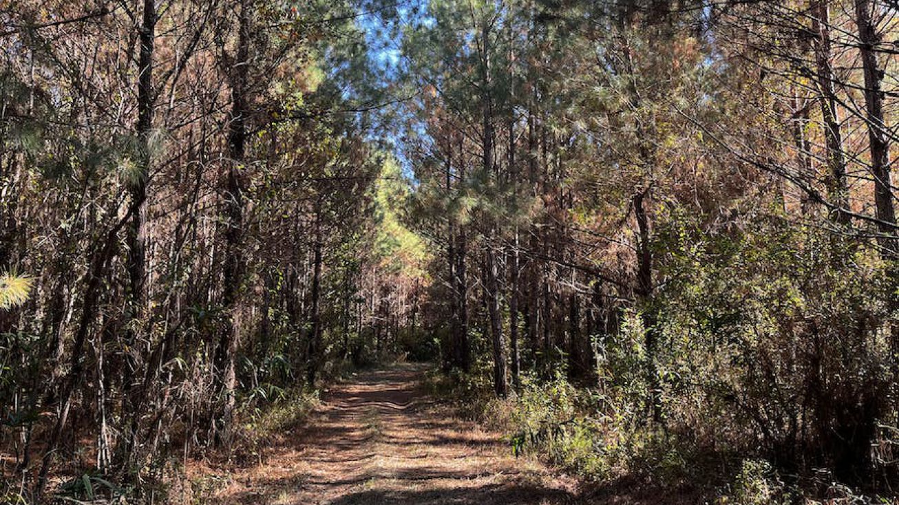 Riverbend, Chattahoochee, FL 32324