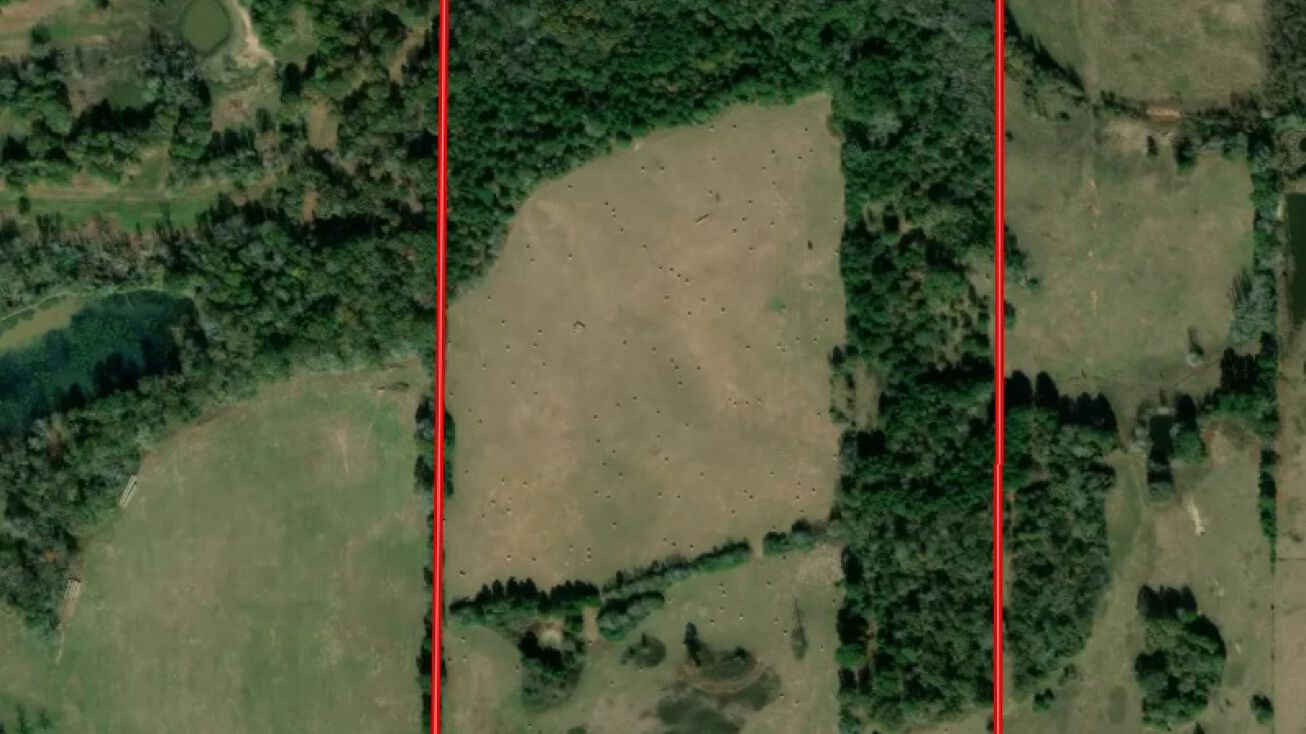 TBD County Rd 2168, Troup, TX 75789 Land for Sale 83.906 acres