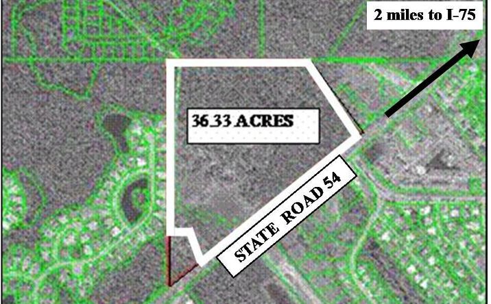 Pictures of Land property located at 0 SR 54, Lutz, FL 33559 for sales - image #1