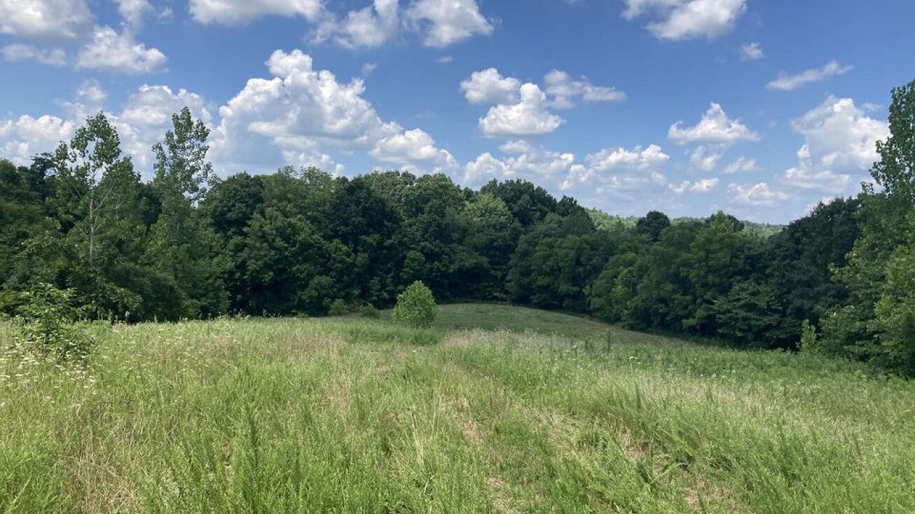 Olaton Rd, Caneyville, KY 42721