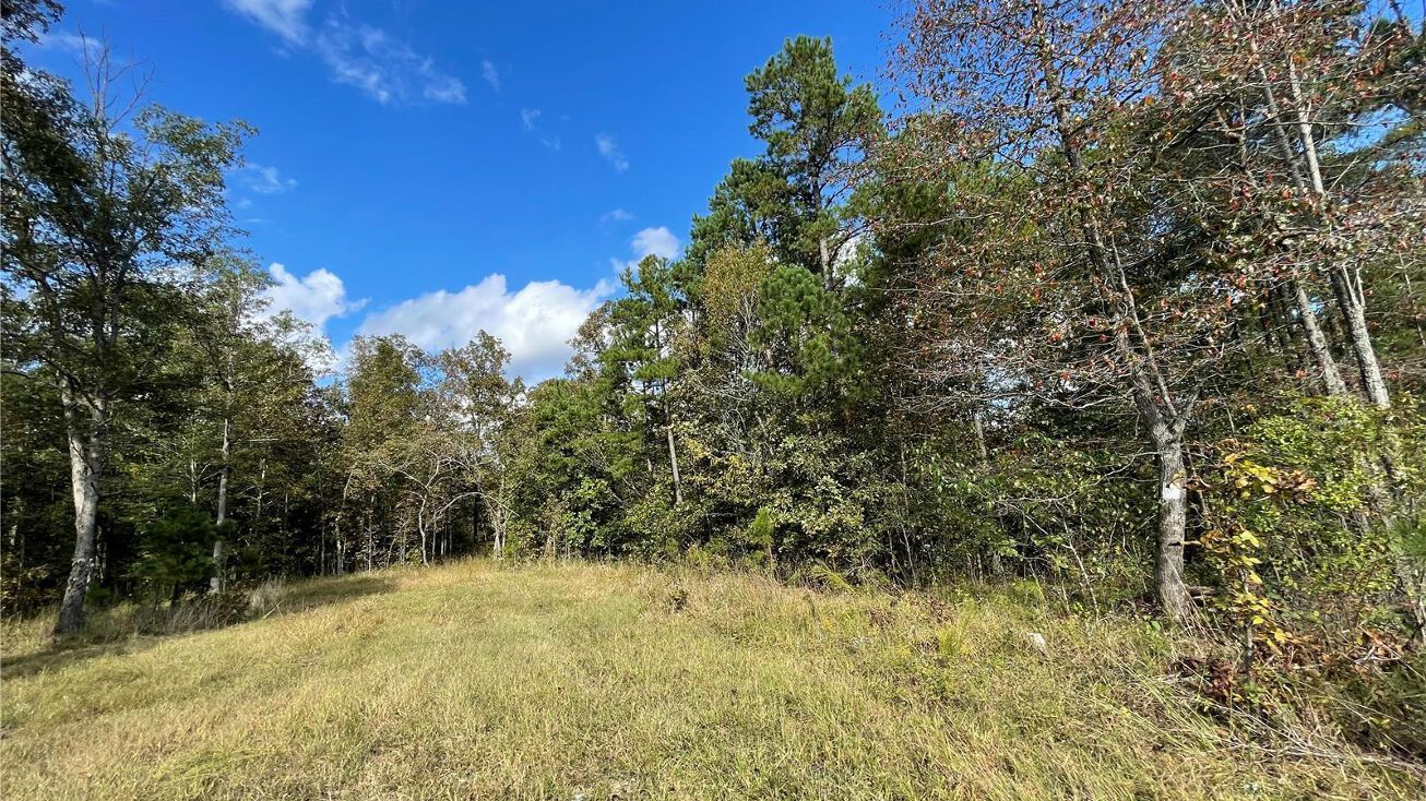 11 Woodland Dr, Poplar Bluff, MO 63901