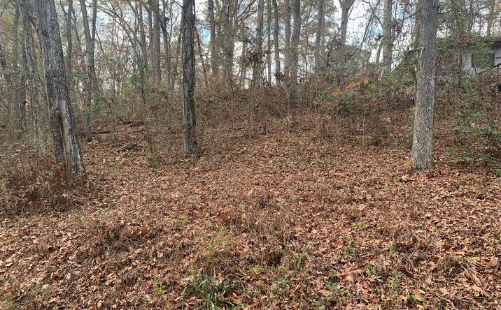 Pictures of Land property located at 160 Trailer Rd, Springville, TN 38256 for sales - image #1