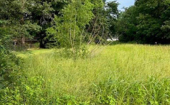 Pictures of Land property located at Lot 1 Southwood Dr, Lufkin, TX 75904 for sales - image #1