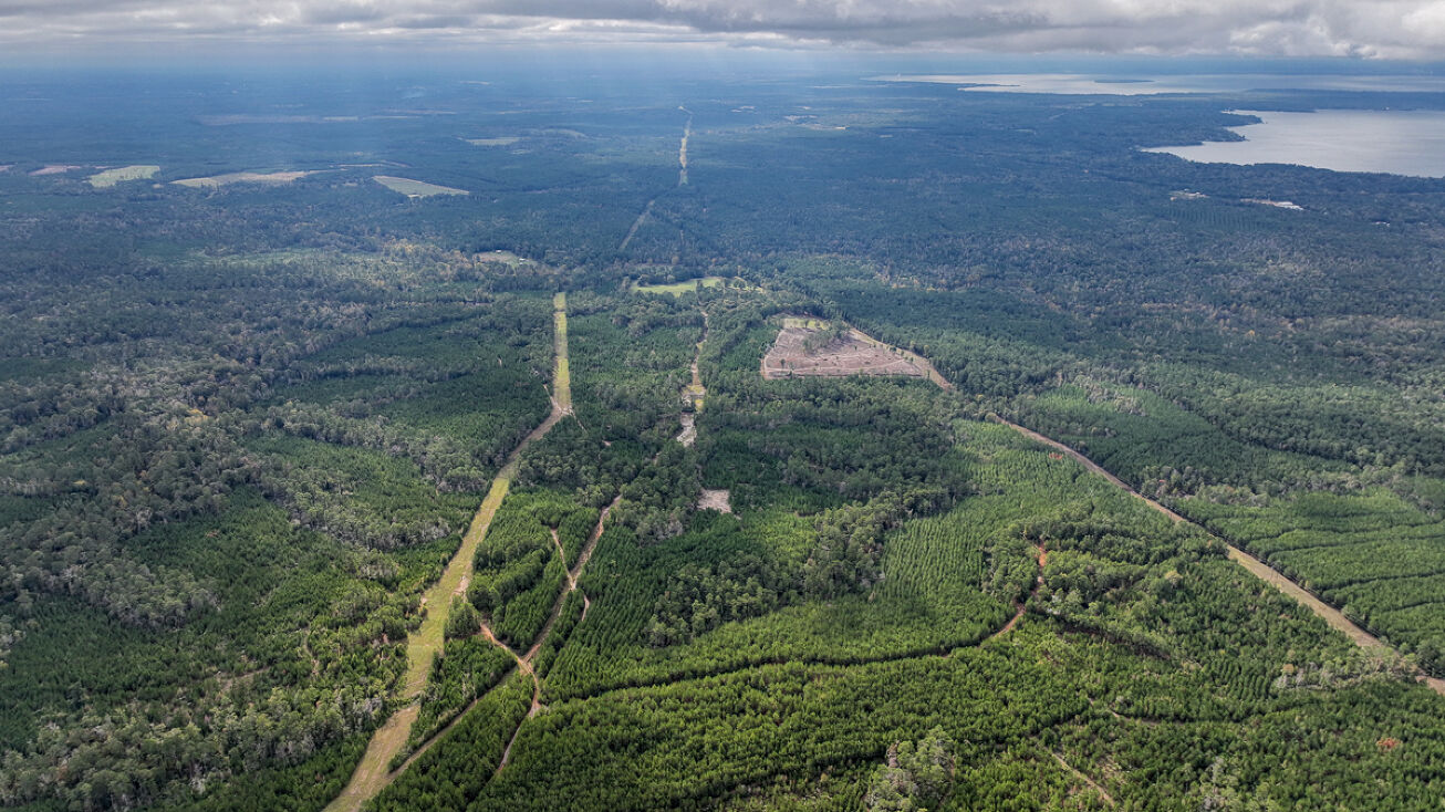 FM 3152, Onalaska, TX 77360 Land for Sale 250 Acres FM 3152