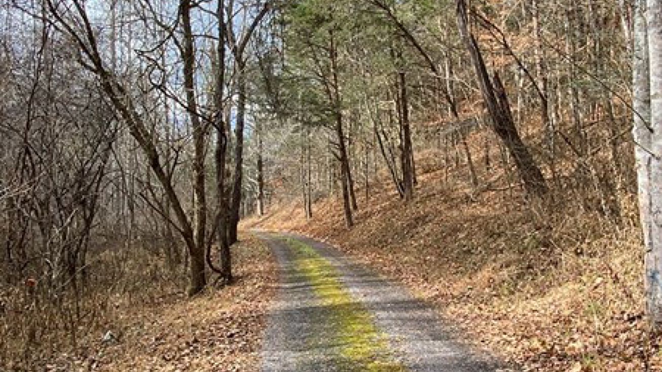 00 Youngstock Rd, Edison, TN 37731