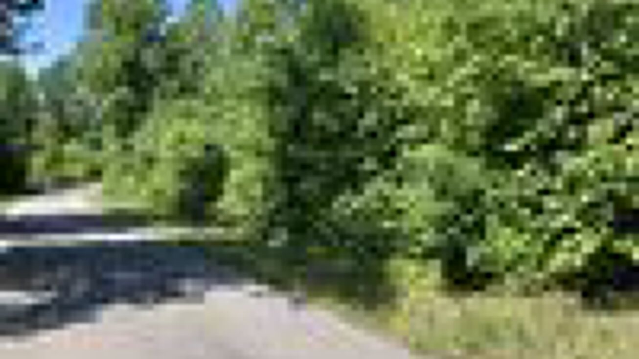 Hibernia Ridge Rd, Campbellsville, KY 42716 Land for Sale Hibernia