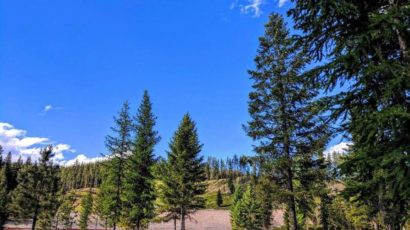 Lot 3 St. Regis Street, Saint Regis, MT 59866