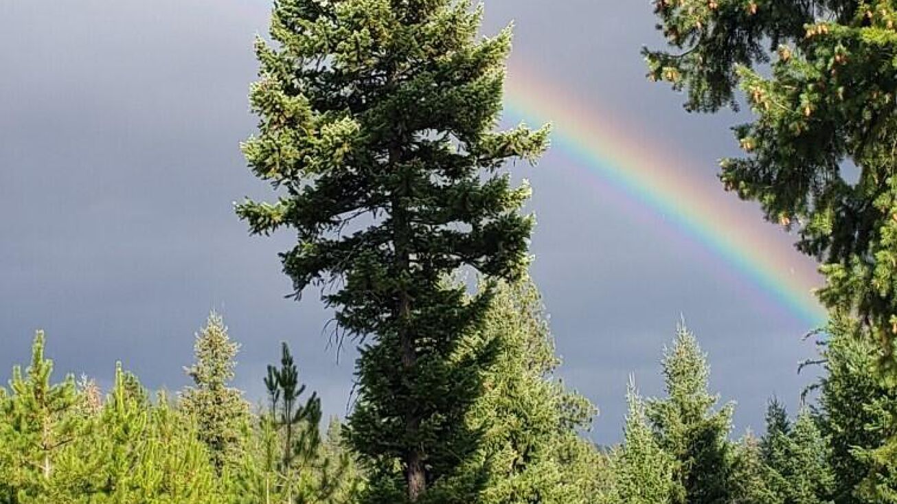 Lot 2 St. Regis Street, Saint Regis, MT 59866