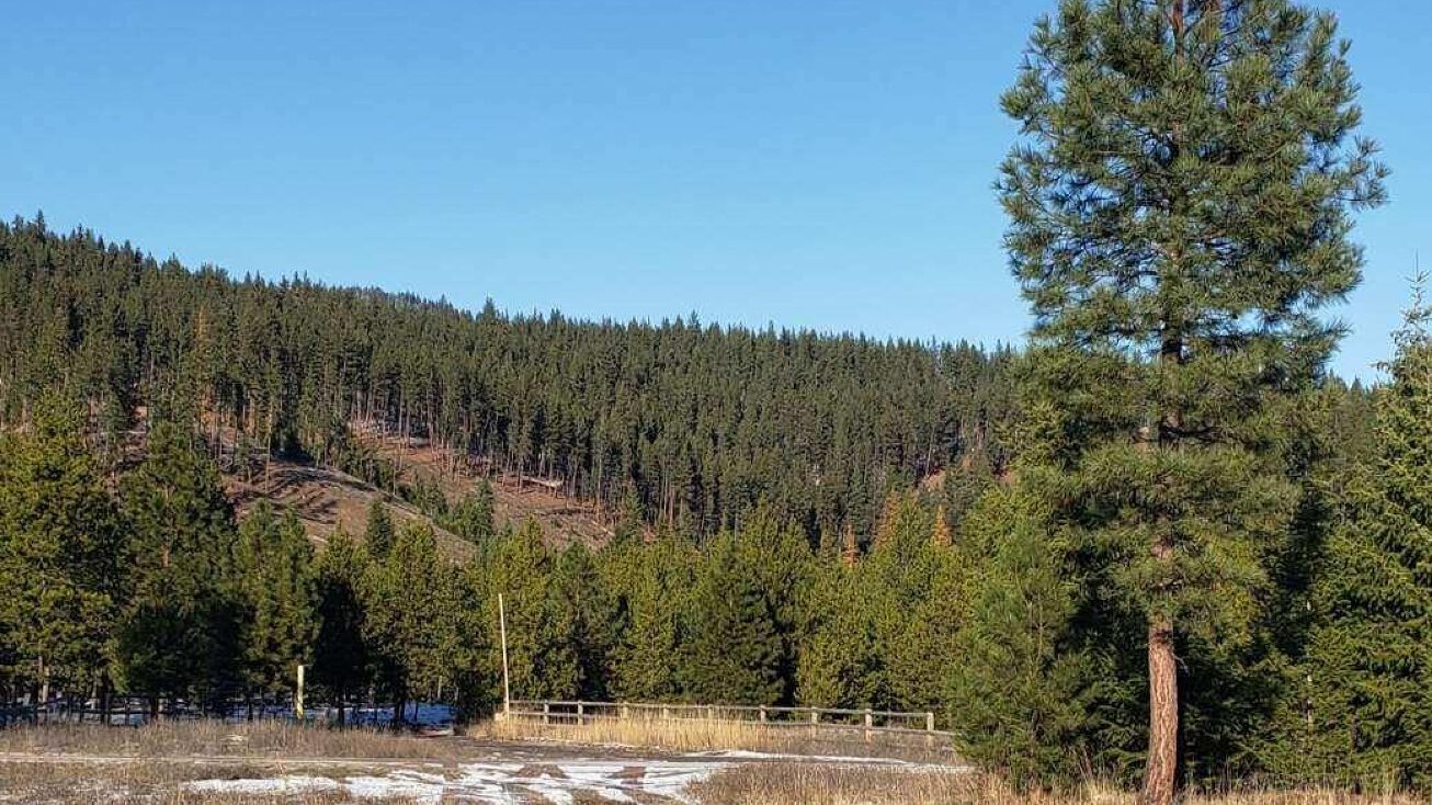 Lot 4 St. Regis Street, Saint Regis, MT 59866