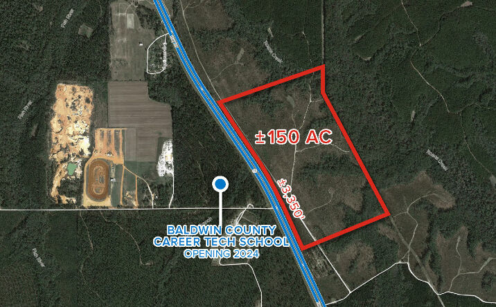 Pictures of Land property located at 0 Hwy 59, Loxley, AL 36551 for comps - image #1
