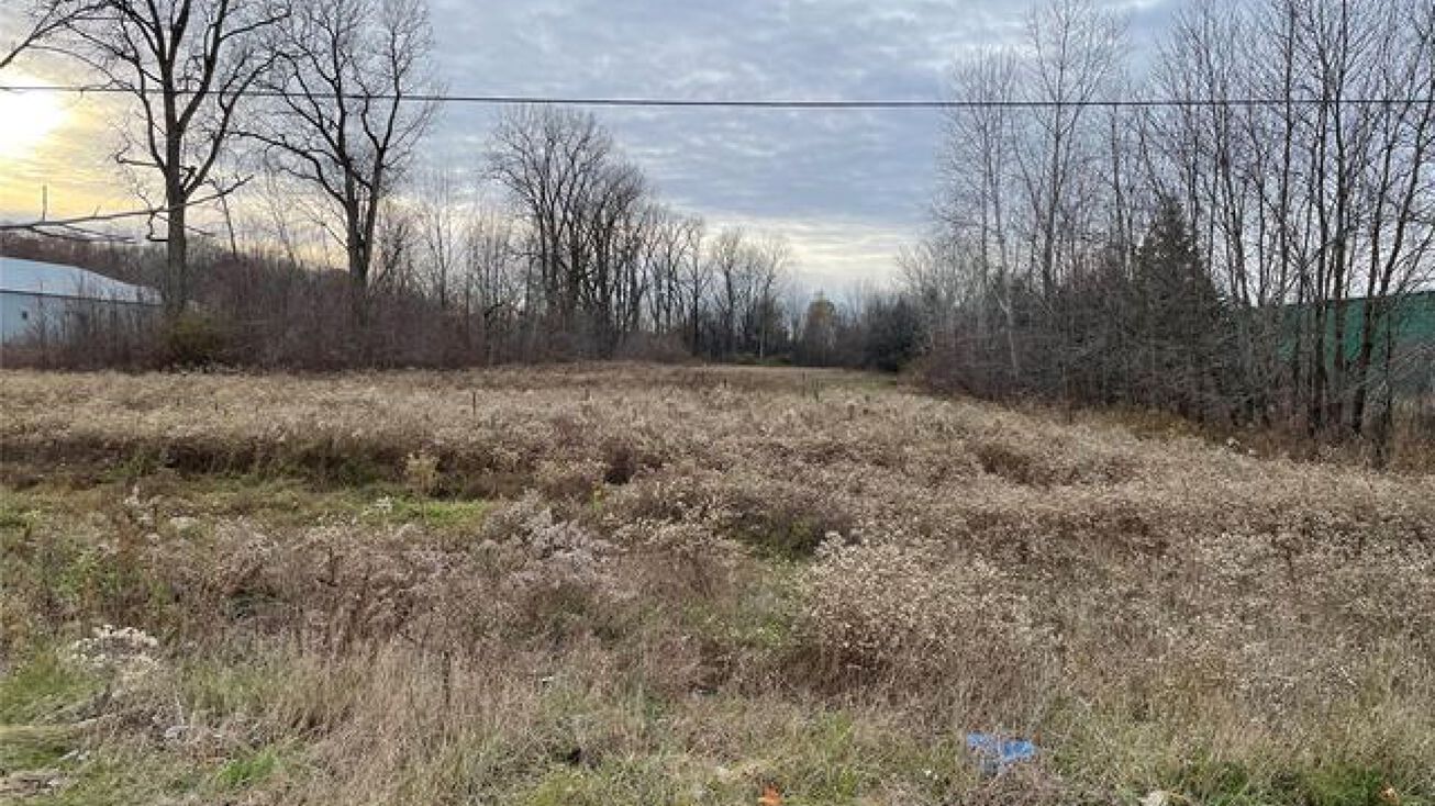 0 Vandyke, Almont, MI 48003