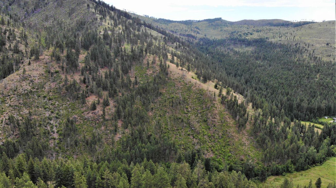 Tbd Spring Hill Road, Frenchtown, MT 59834 Land for Sale Tbd Spring