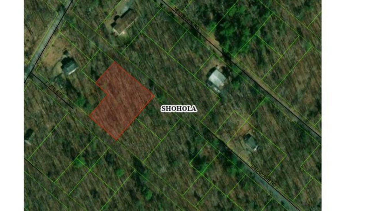 Piute & Delaware, Shohola, PA 18458 Land for Sale Piute & Delaware