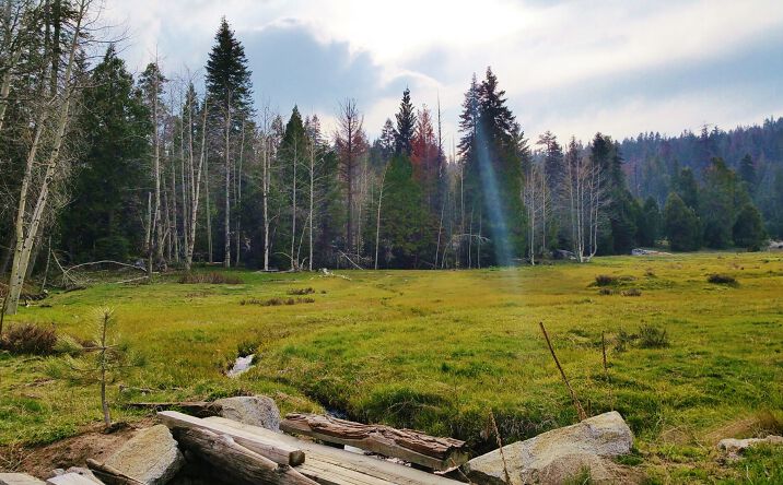 Pictures of Land, Multifamily, Special Purpose property located at Hume Lake Rd, Miramonte, CA 93628 for sales - image #1