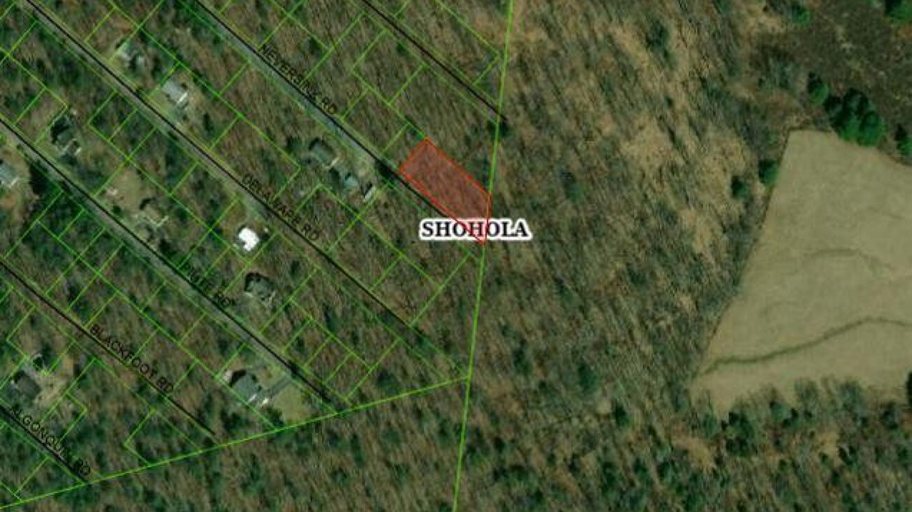 Neversink Rd, Shohola, PA 18458
