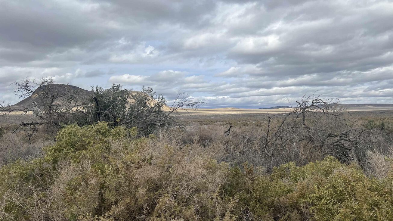 Off of California, Fernley, NV 89408 Land for Sale Off of California