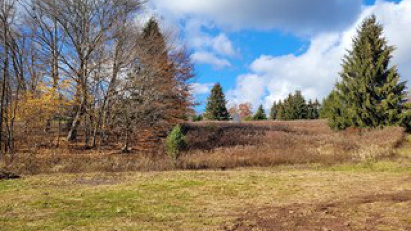 Torrey Rd, Bethany, PA 18431