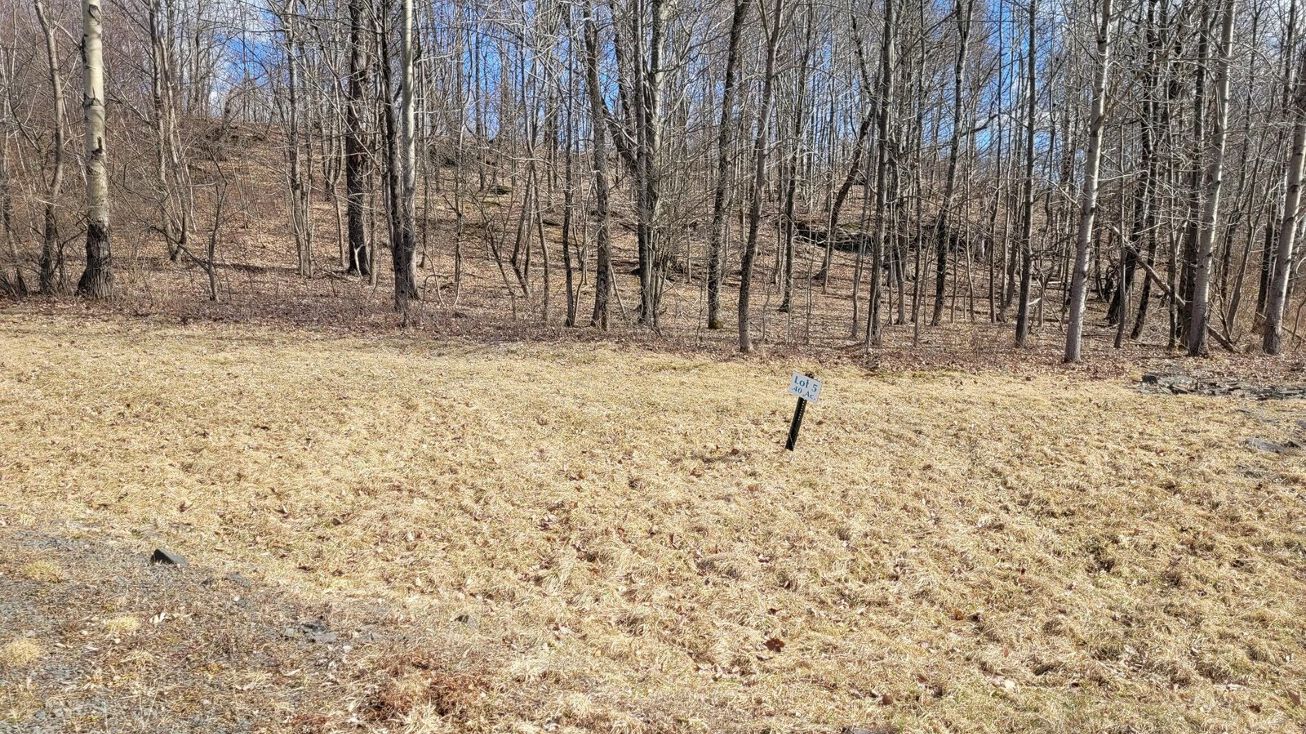 104 Cherry View Ct, Honesdale, PA 18431 Land for Sale 104 Cherry