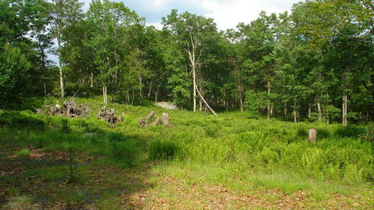 Cummins Hill Rd, Milford, PA 18337