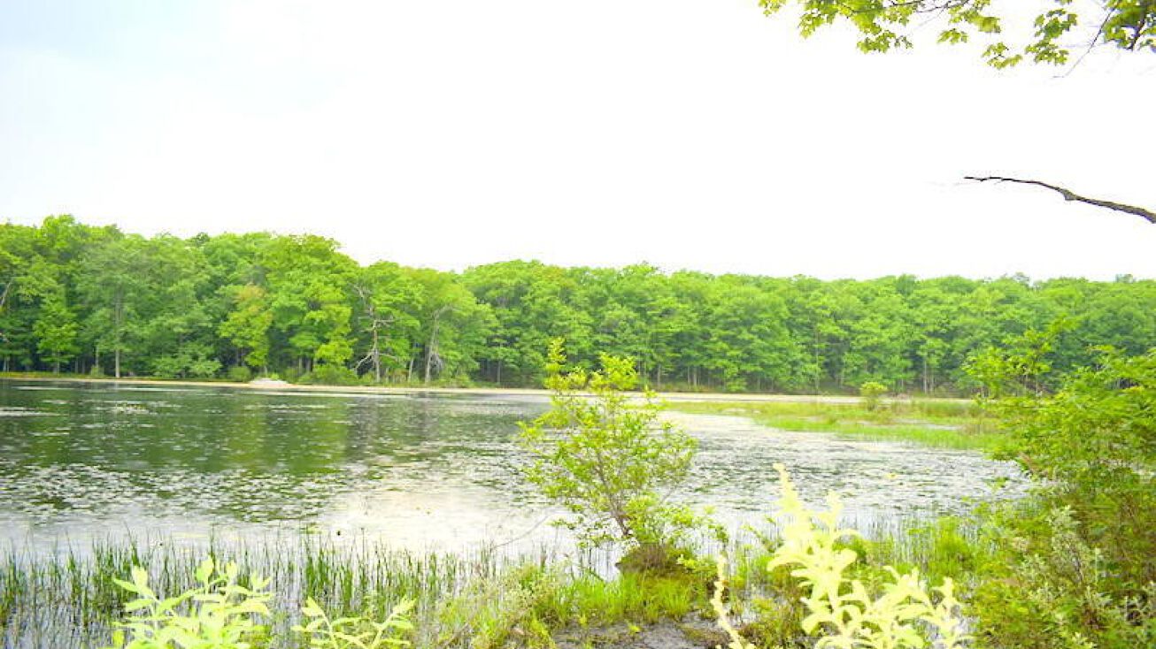 Lot 4 Twin Pond Way, Hawley, PA 18428