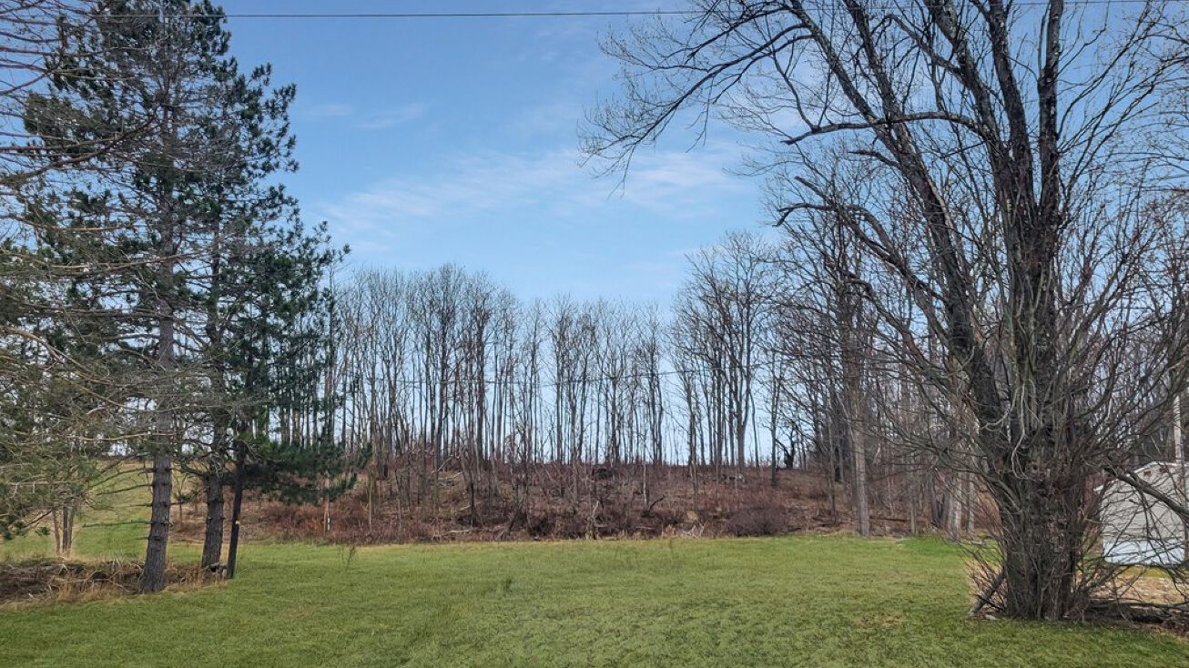 81 Hamlin Hwy, Moscow, PA 18444