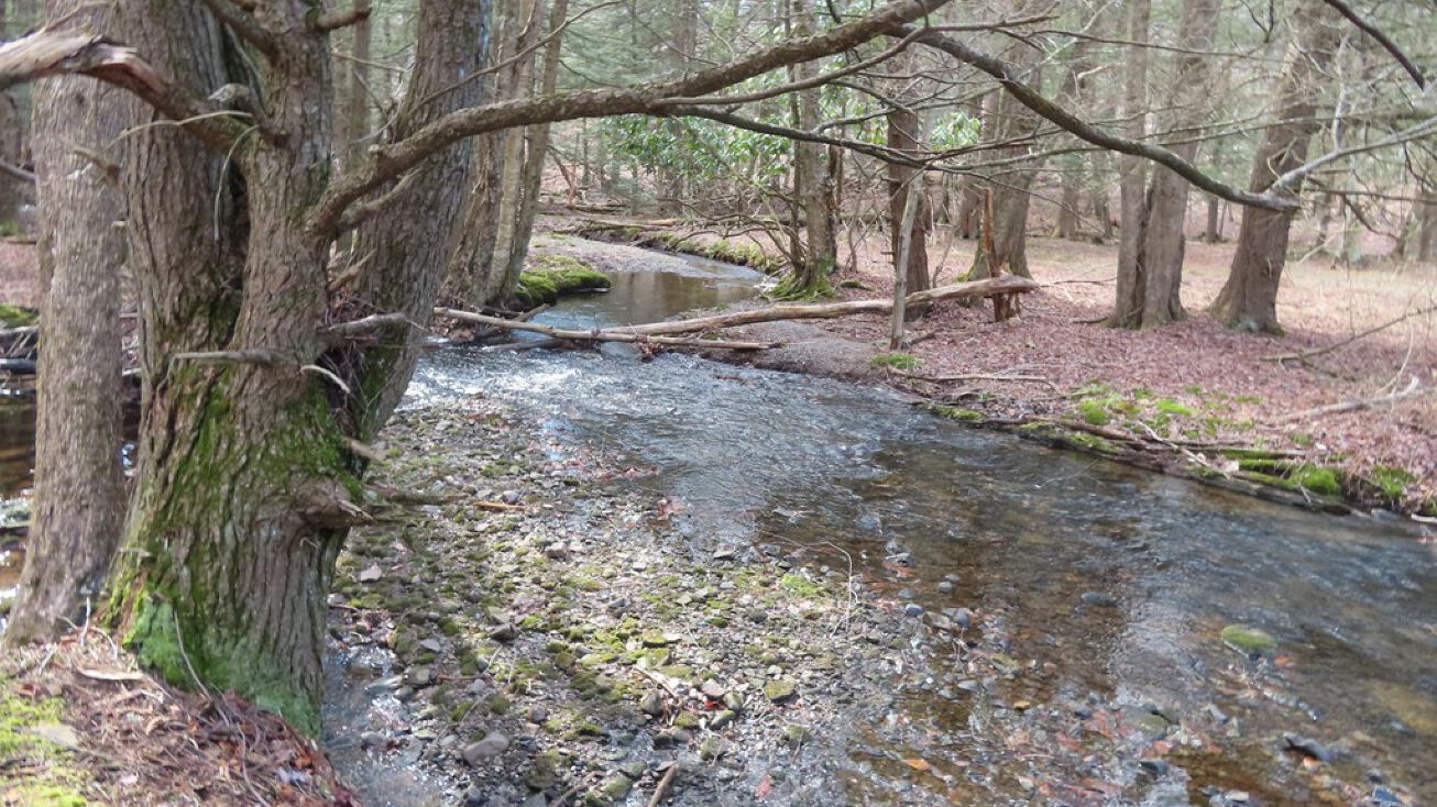 Lot 201 Sawmill Rd, Greentown, PA 18426