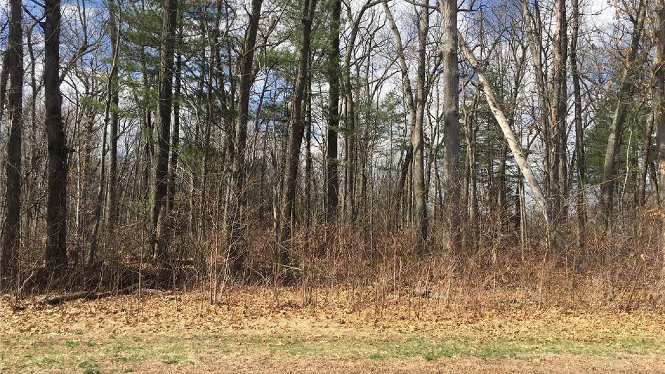 77 Thrall Road, East Windsor, CT 06088 Land for Sale 77 Thrall Road